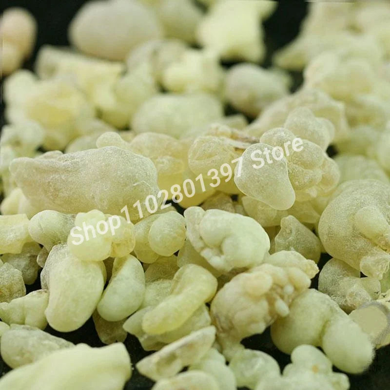 Oman Hojari Frankincense Green Frankincense Burning Well Resin Fragrance FrankinsenseB.sacra Hydrosol Edible Grade