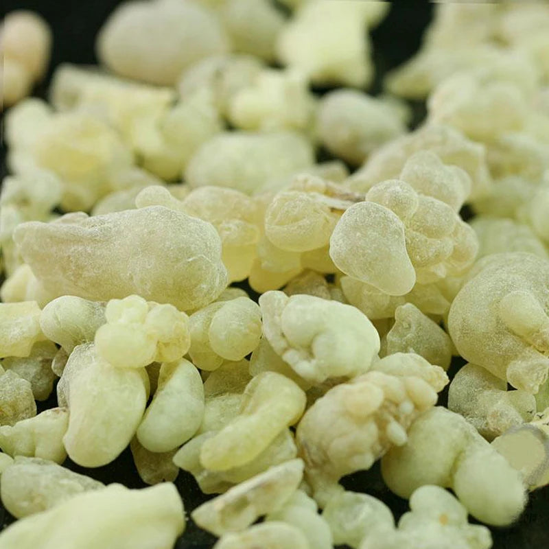 Oman Hojari Frankincense Green Frankincense Burning Well Resin Fragrance FrankinsenseB.sacra Hydrosol Edible Grade