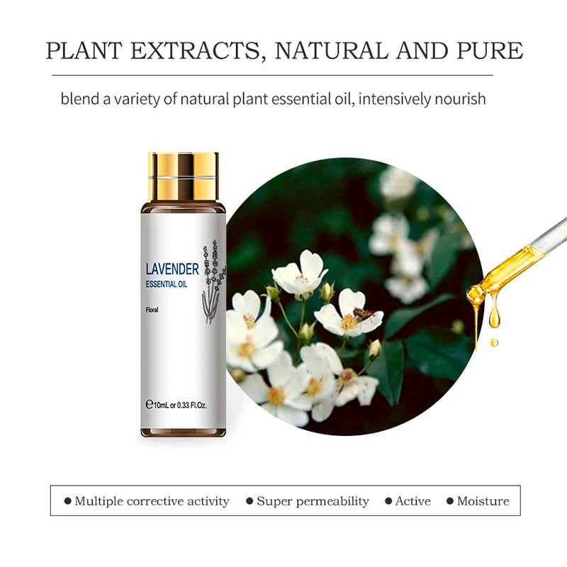 Essential Oils Set – 16 PCS x 10ML Pure Aromatherapy Oils  Lavender, Eucalyptus, Rose, Jasmine & More for Diffusers, Candles & Spiritual Wellness